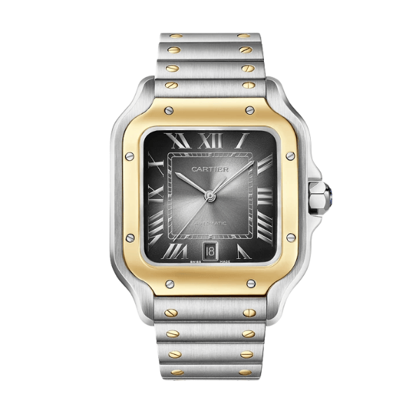 Cartier Santos De Cartier CRW2SA0030 Demi Yellow Gold – VIP Version