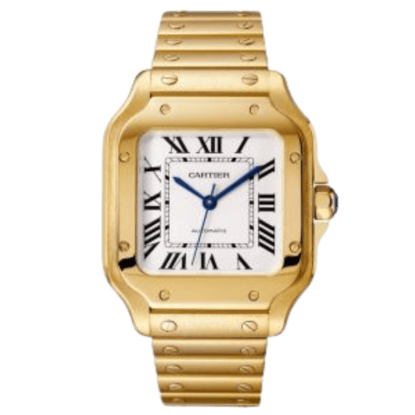 Cartier Santos de Cartier WGSA0030 35.1mm – VIP Version