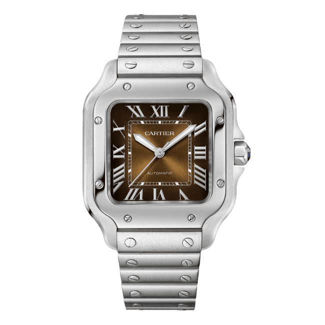 Cartier Santos De Cartier Chocolate Dial WSSA0065 35.5mm – VIP Version